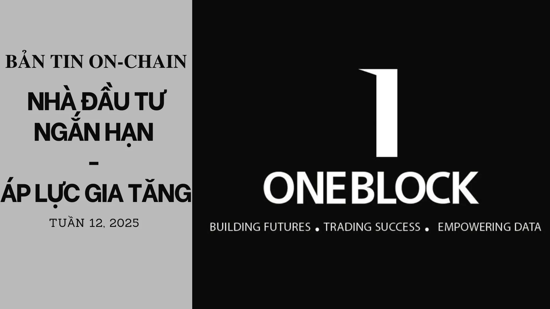 img of Bản tin On-Chain: Nhà đầu tư ngắn hạn-Áp lực gia tăng