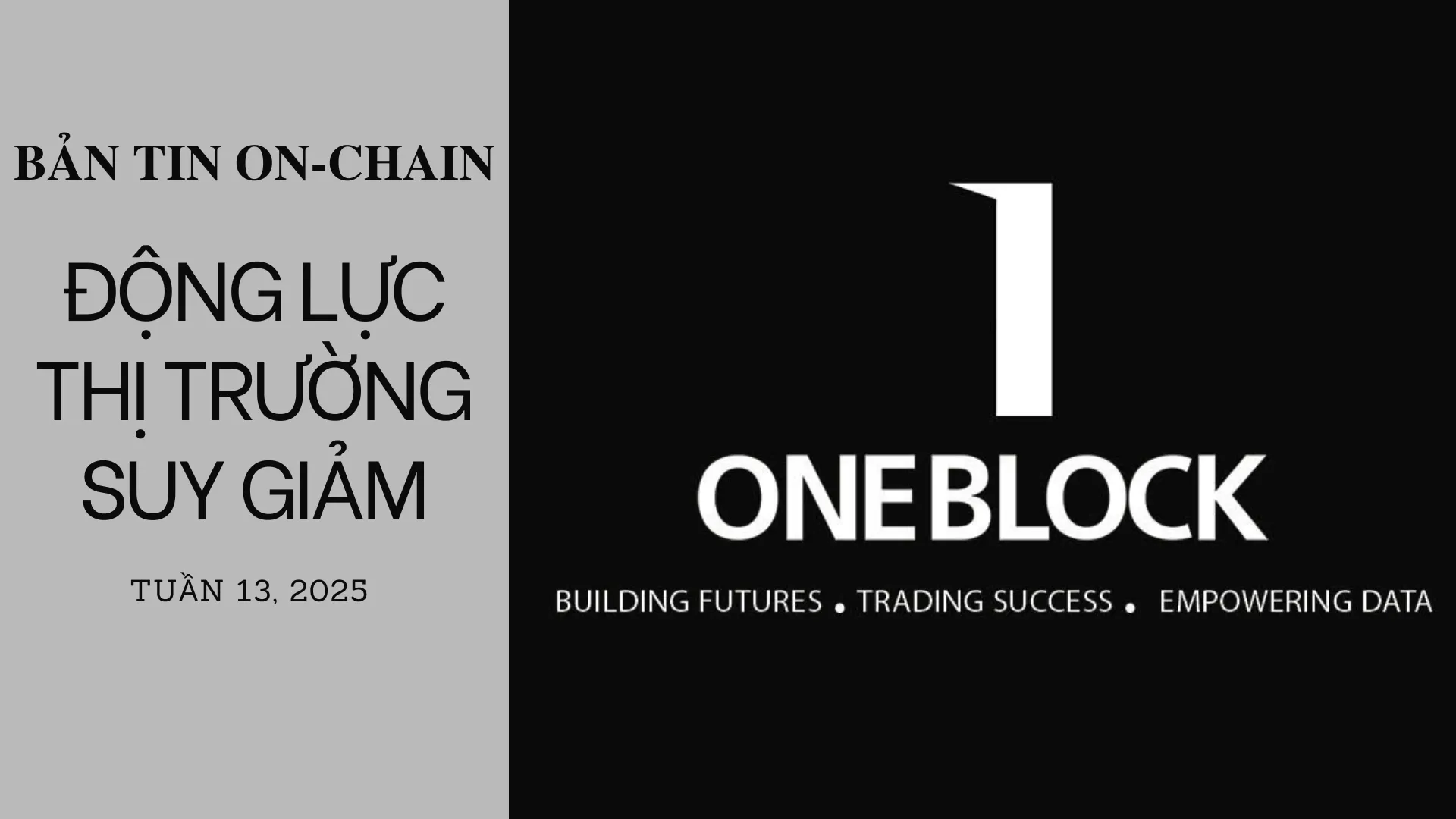 img of Bản tin On-Chain: Động lực thị trường suy giảm