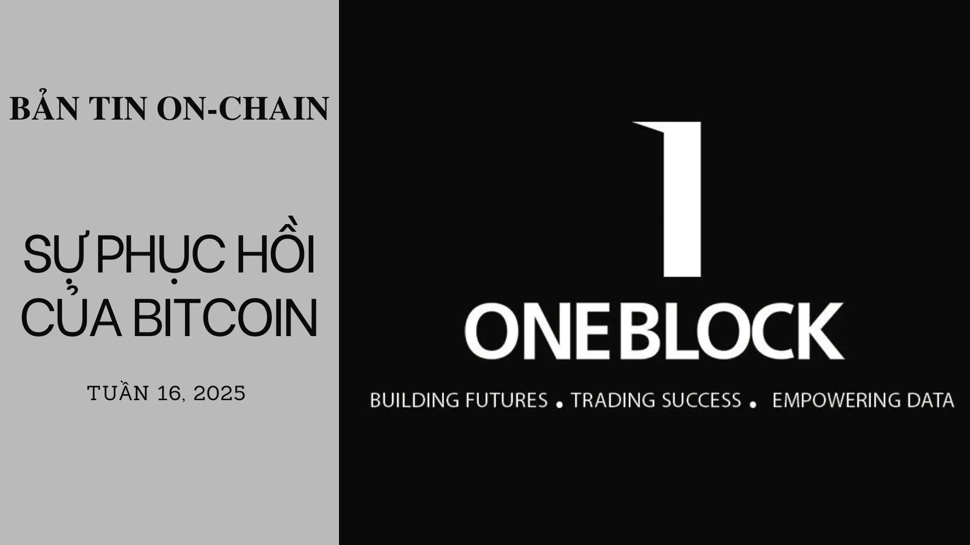 img of Bản tin On-Chain: Sự phục hồi của Bitcoin
