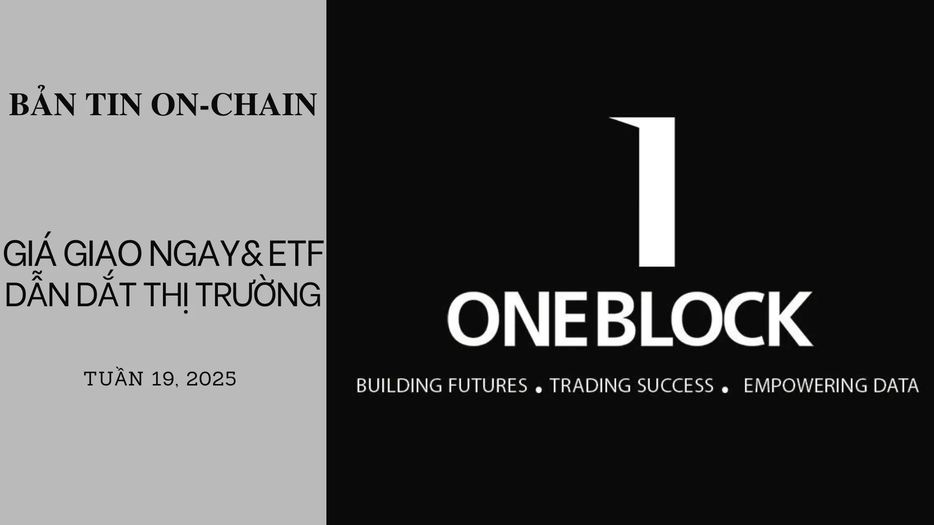 img of Bản tin On-Chain: Giá giao ngay & ETF dẫn dắt thị trường