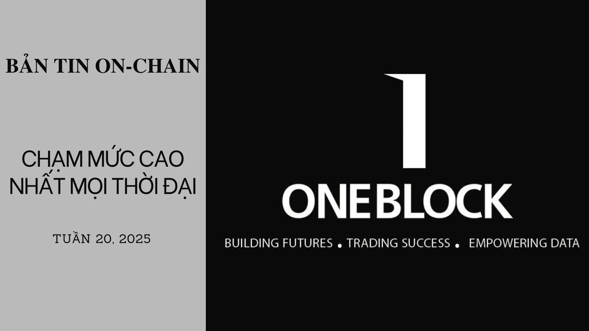img of Bản tin On-Chain: Chạm Mức Cao Nhất Mọi Thời Đại