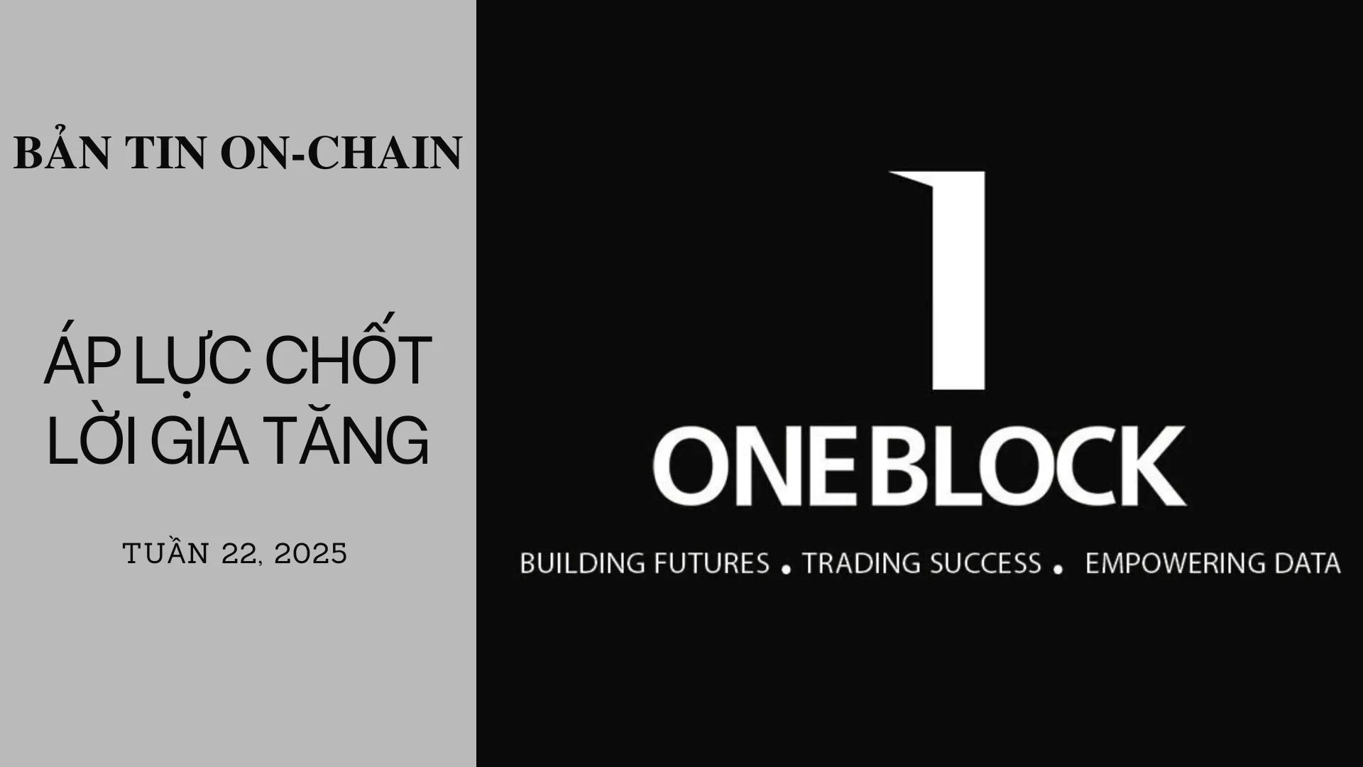 img of Bản tin On-Chain: Áp Lực Chốt Lời Gia Tăng
