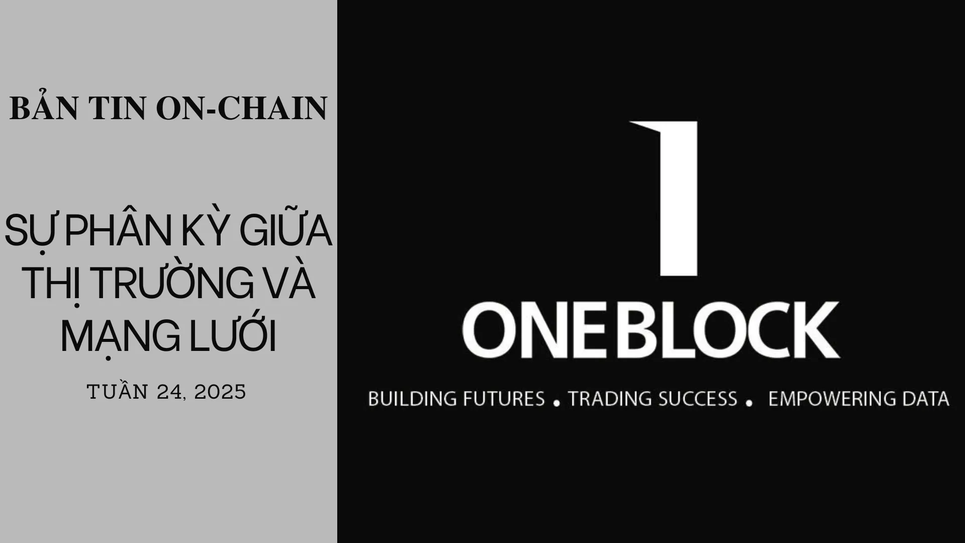 img of Bản tin On-Chain: Sự Phân Kỳ Giữa Thị Trường Và Mạng Lưới