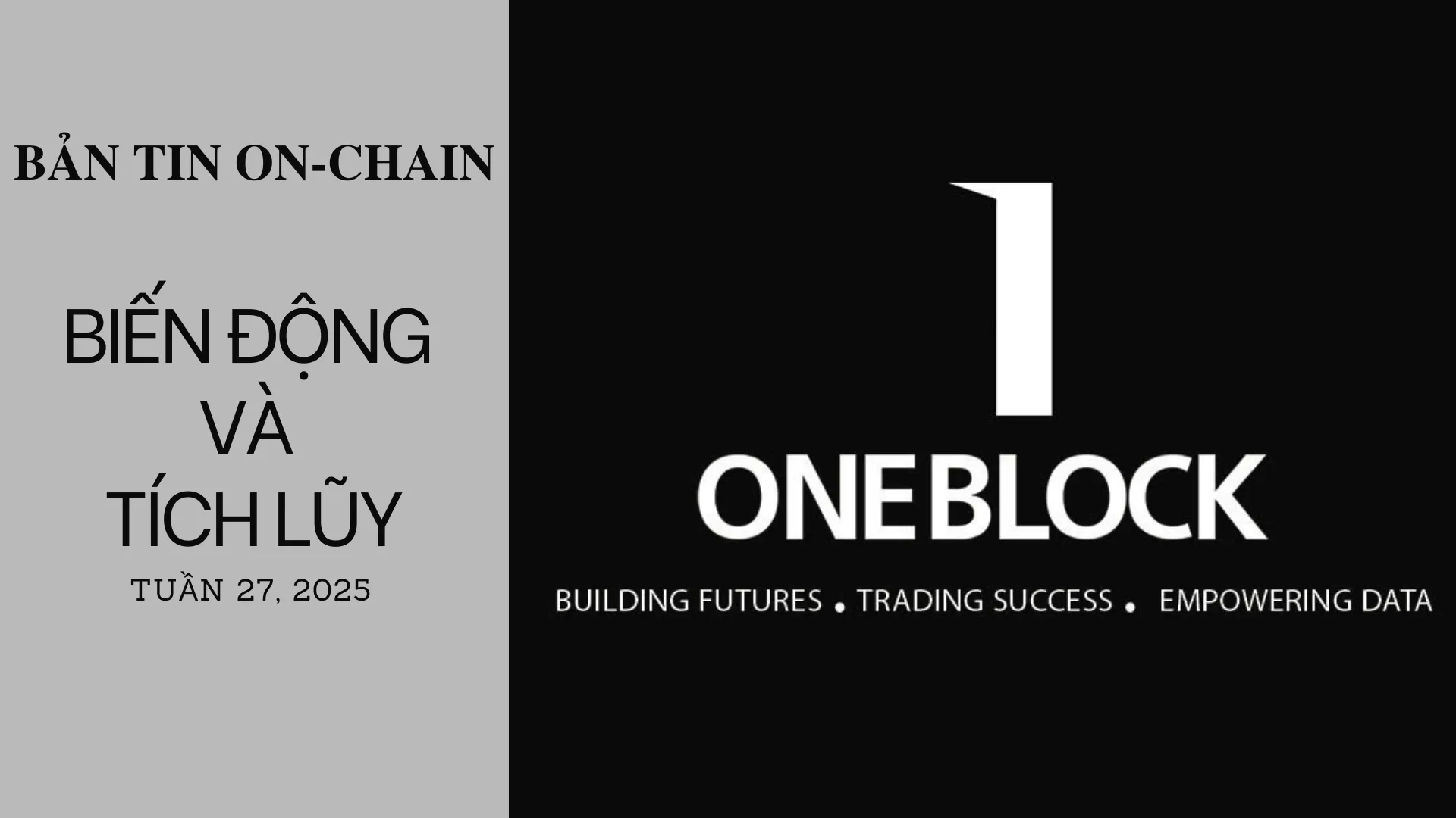 img of Bản tin On-Chain: Biến Động và Tích Lũy