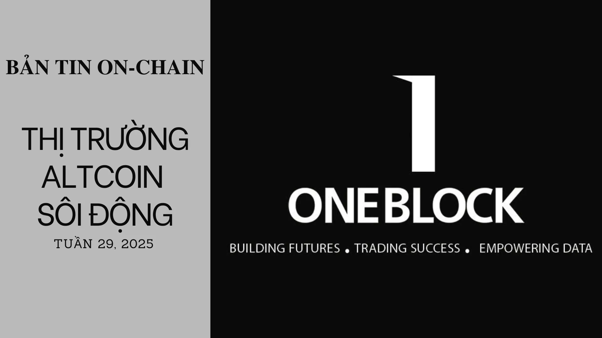 img of Bản tin On-Chain: Thị Trường Altcoin Sôi Động