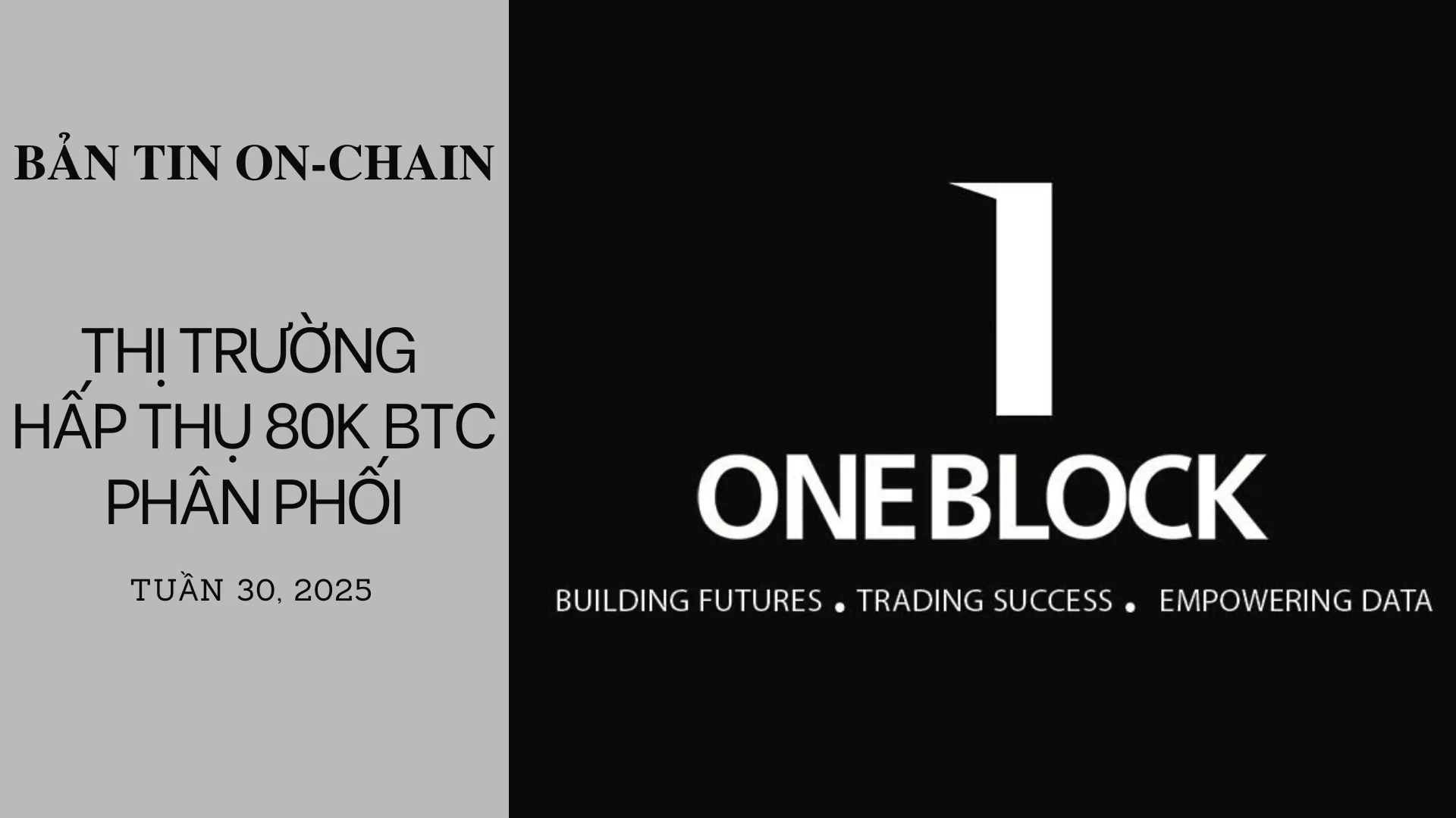 img of Bản tin On-Chain: Thị Trường Hấp Thụ 80K BTC Phân Phối
