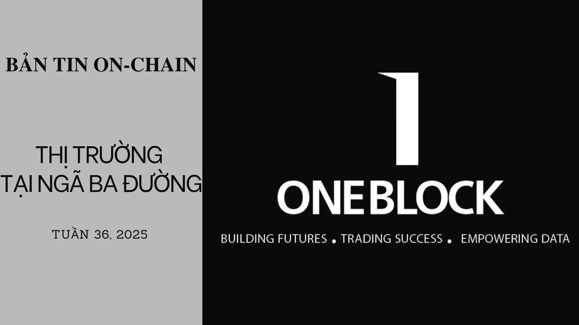 img of Bản tin On-Chain Tuần 36: Thị Trường Tại Ngã Ba Đường