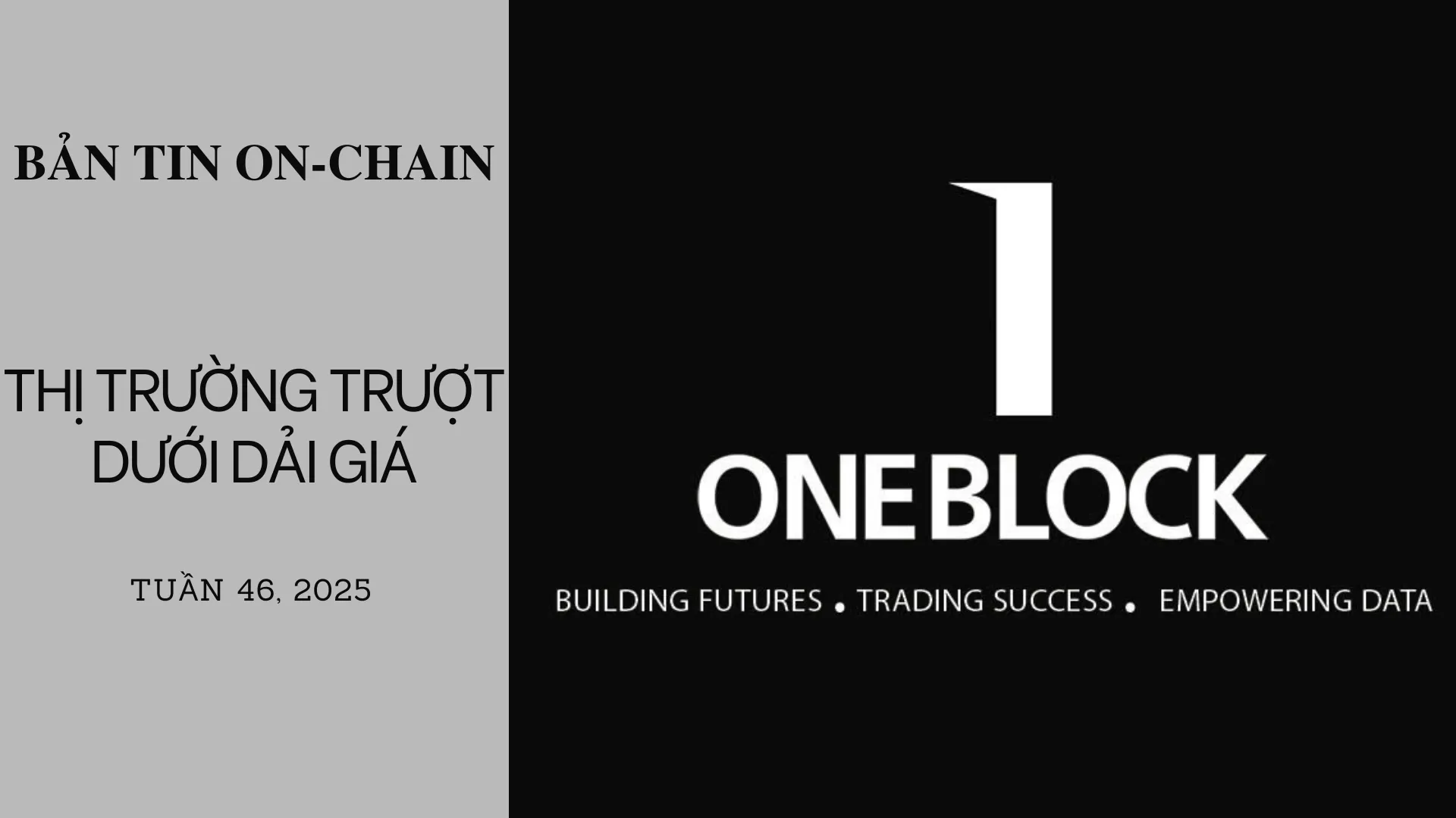 img of Bản tin On-Chain Tuần 46: Thị Trường Trượt  Dưới Dải Giá