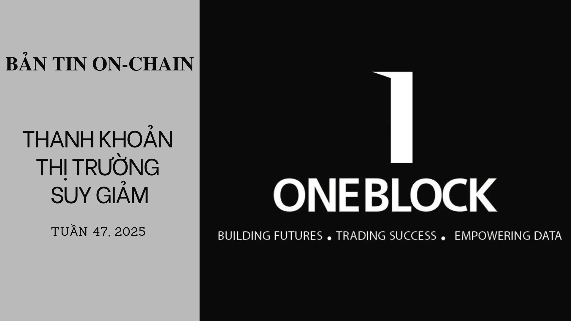 img of Bản tin On-Chain Tuần 47: Thanh Khoản Thị Trường Suy Giảm